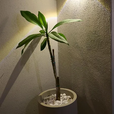 Perea Fiore דירה Peraía